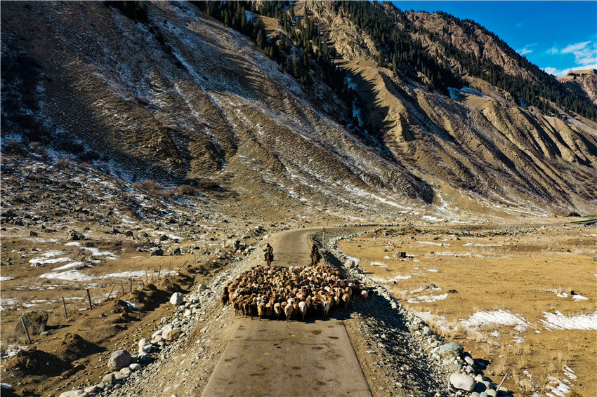 Zhaosu, Xinjiang: melhoria dos padrões de vida facilita migrações de pastores