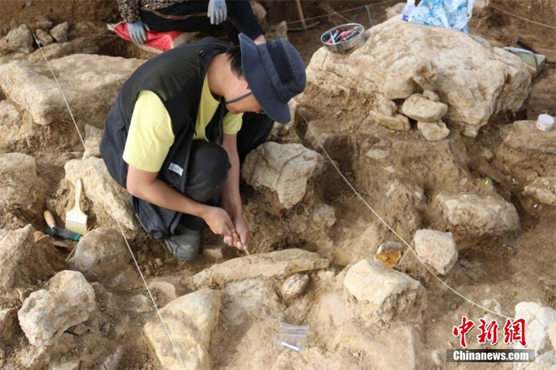 Leste da China descobre ferramenta de osso em Shandong, possivelmente a mais antiga do país