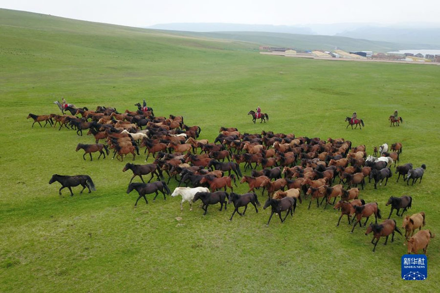 Gansu: estação ferroviária de Rancho de Cavalos Shandan entra em operação