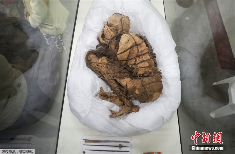 Galeria: múmia de 800 anos é encontrada no Peru