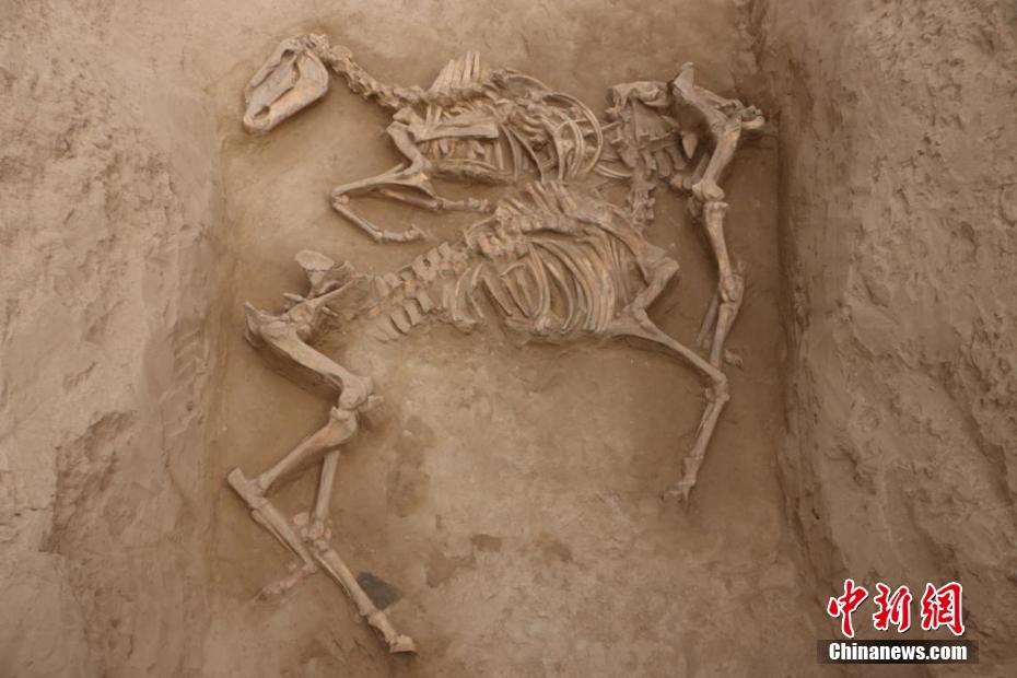 Gansu: trabalhos no complexo arqueológico da dinastia Tang com novos avanços