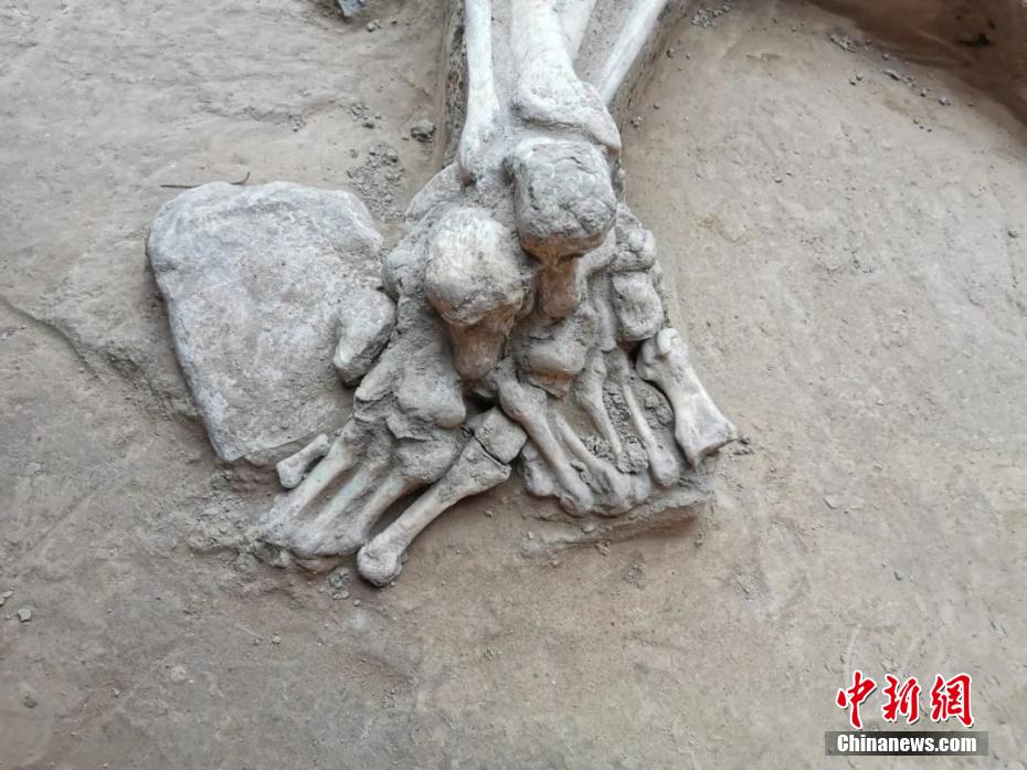China: Shanxi tem sítio neolítico descoberto há mais de 5.000 anos em Taiyuan