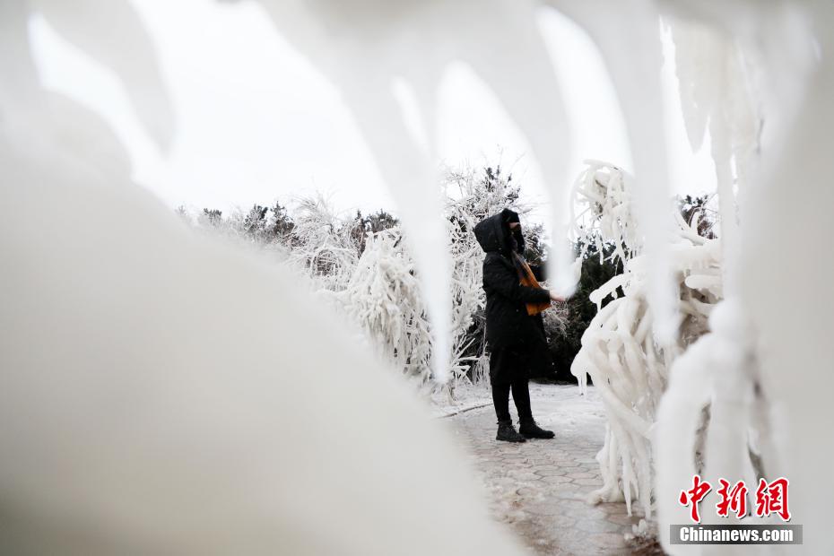 Galeria: paisagens de gelo no leste da China