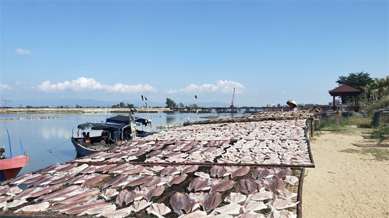 Pescadores de Hainan secam peixes ao sol do inverno  