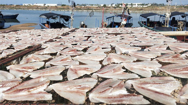 Pescadores de Hainan secam peixes ao sol do inverno  