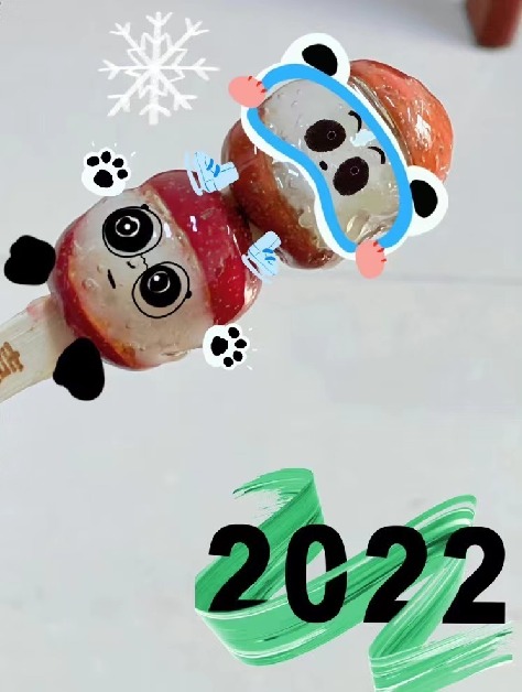 Bing Dwen Dwen, a mascote popular de Beijing 2022