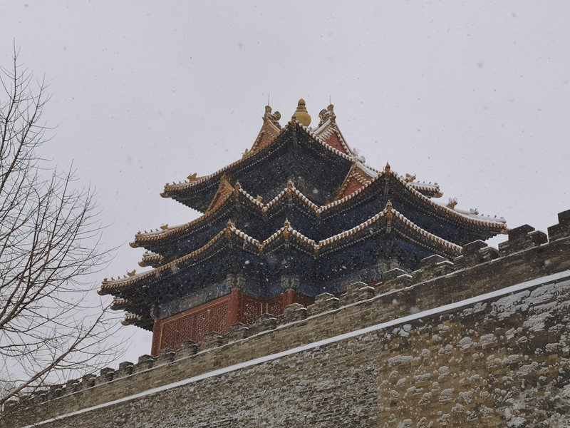 Beijing recebe a primeira neve do ano do tigre