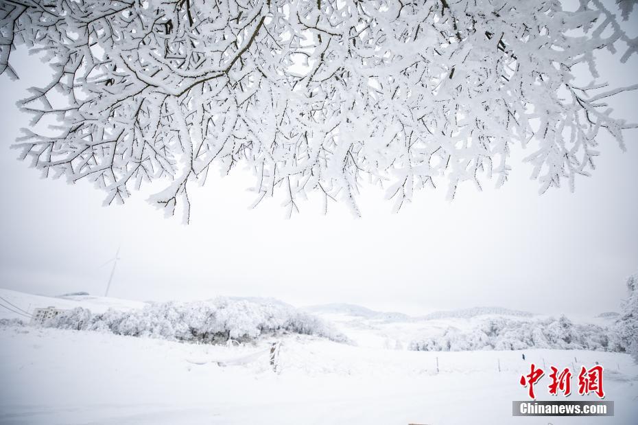 Galeria: vila de montanha coberta de neve no sudoeste da China