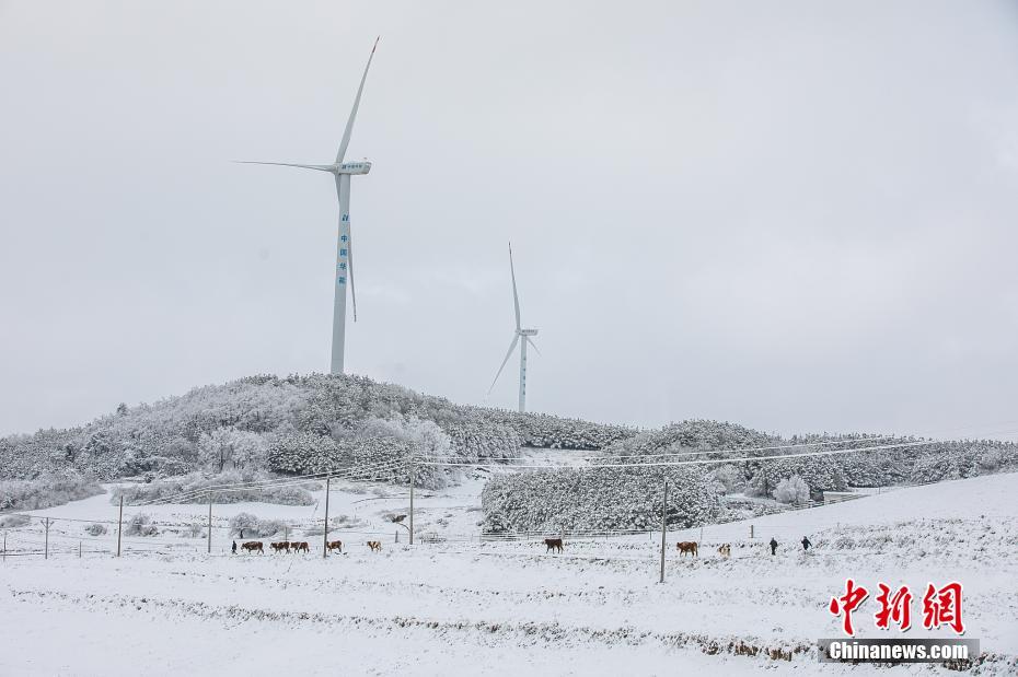 Galeria: vila de montanha coberta de neve no sudoeste da China