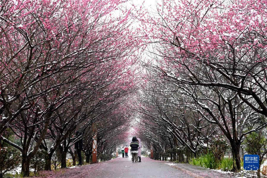 Sul da China recebe chuva e neve generalizada