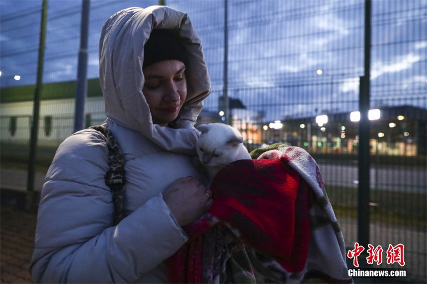 Ucrânia: populações evacuam com seus animais de estimação 