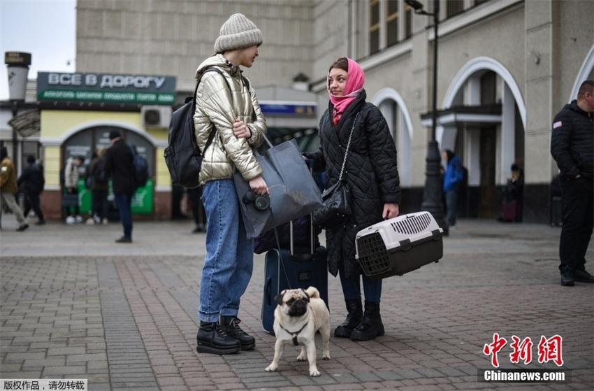 Ucrânia: populações evacuam com seus animais de estimação 