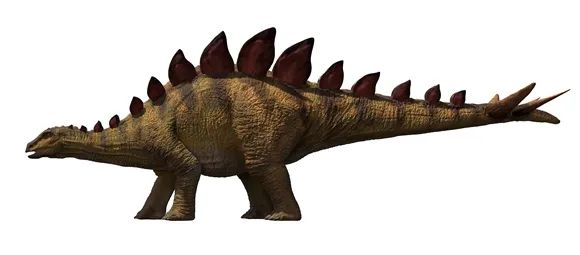 Descoberto fóssil de nova espécie de estegossauro de 169 milhões de anos na China

