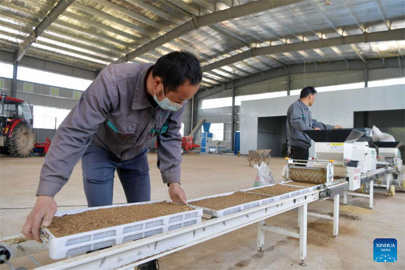 Programa de agricultura inteligente melhora a eficiência da produção agrícola em Jiangxi
