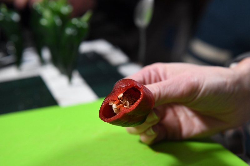 Experiência de plantação de pimenta na Estação Espacial Internacional é um sucesso