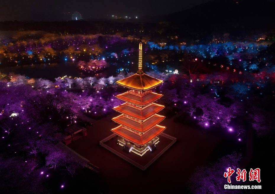 Galeria: flores de cerejeira iluminadas em Wuhan