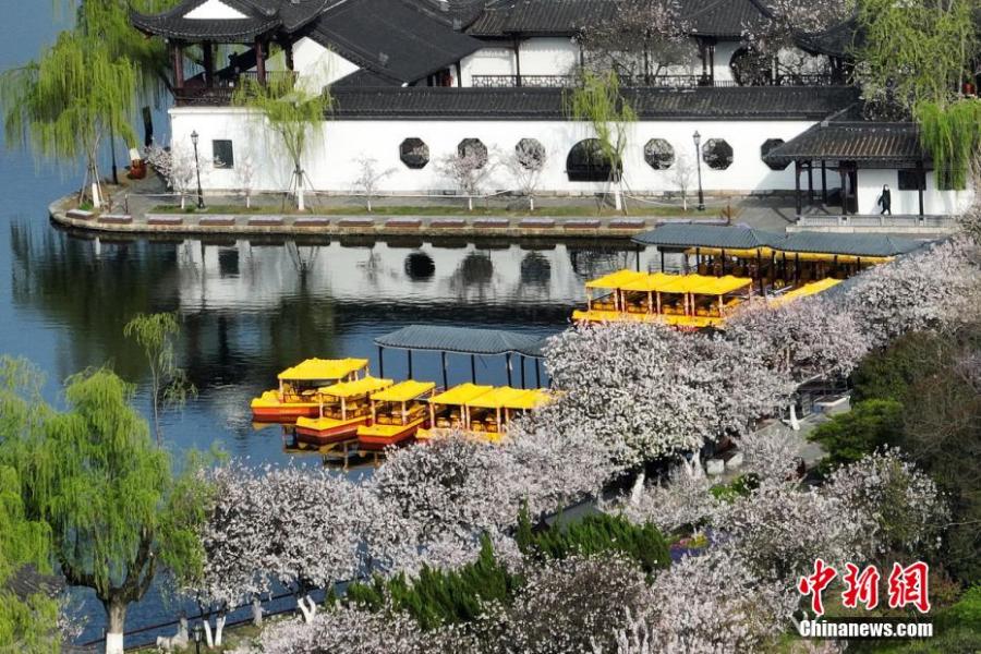 Galeria: Cenário primaveril do Parque do Lago Mochou em Nanjing