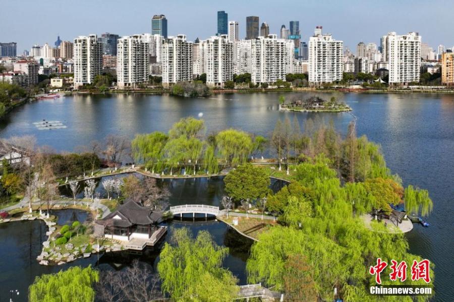 Galeria: Cenário primaveril do Parque do Lago Mochou em Nanjing