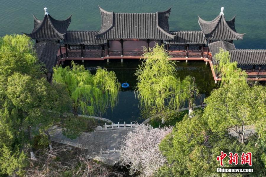 Galeria: Cenário primaveril do Parque do Lago Mochou em Nanjing