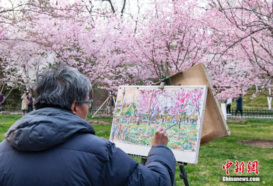 Beijing: Parque Yuyuantan atrai visitantes