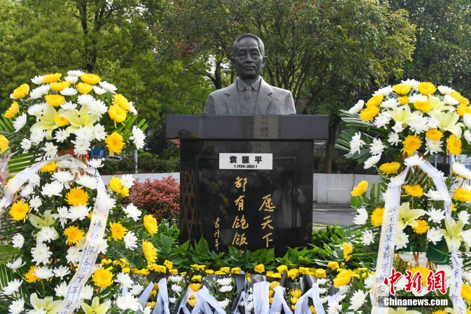 Estátua de bronze do “pai do arroz híbrido” é revelada em Changsha