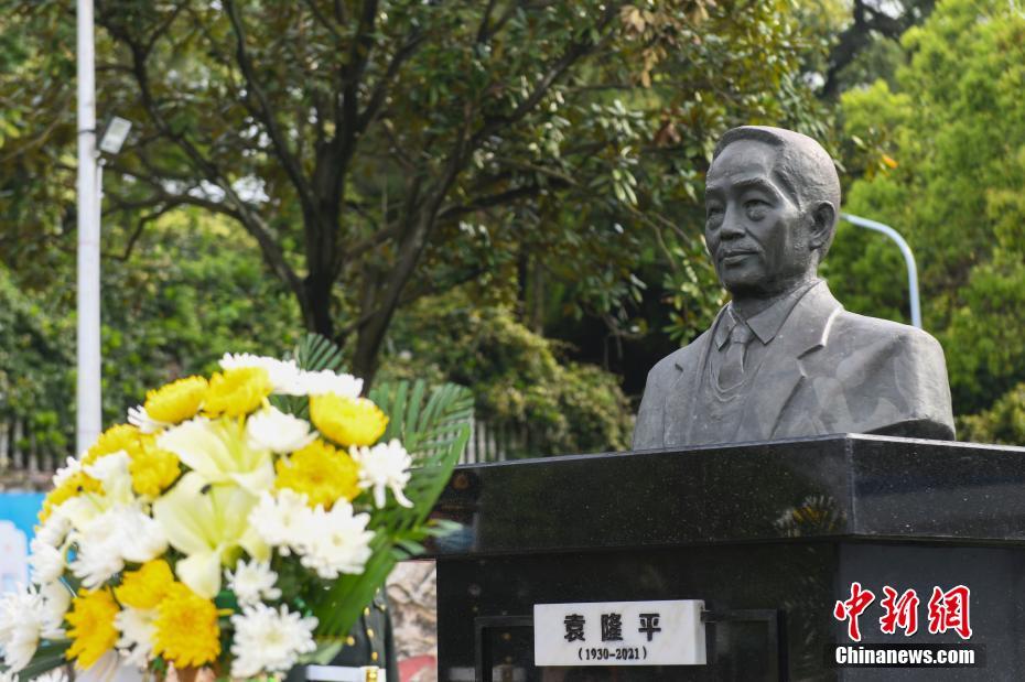 Estátua de bronze do “pai do arroz híbrido” é revelada em Changsha