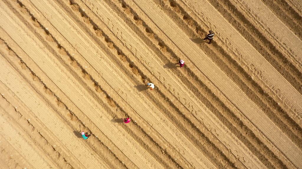 Atividades agrícolas em pleno andamento ao redor da China