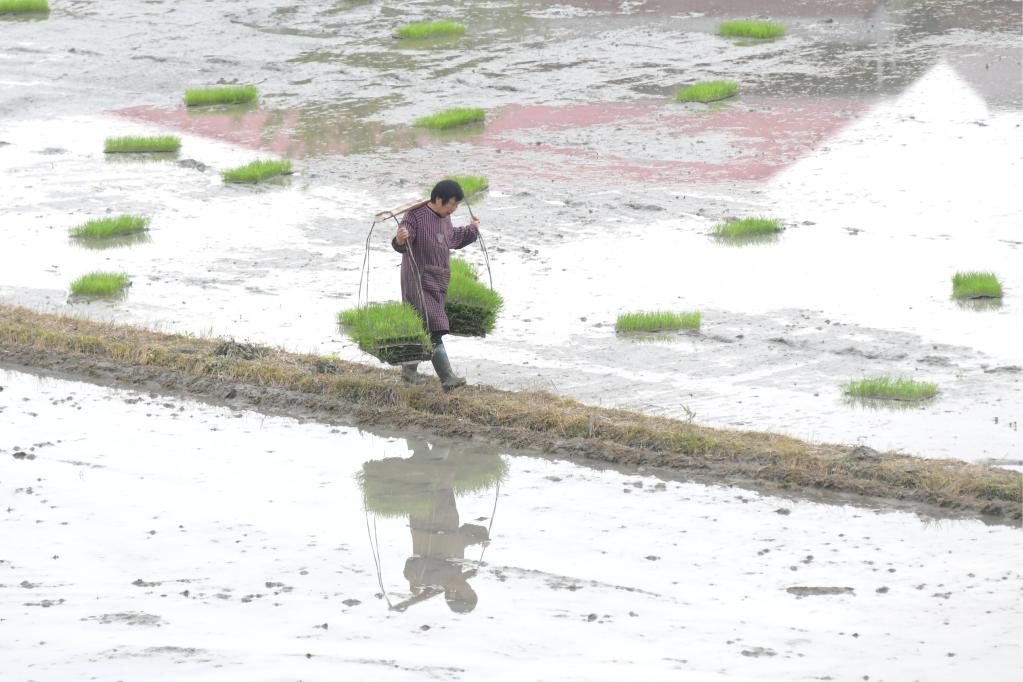 Atividades agrícolas em pleno andamento ao redor da China