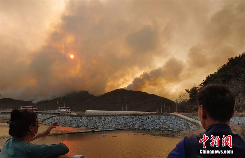 Coreia do Sul: incêndio florestal ocorreu no norte da Gangwon