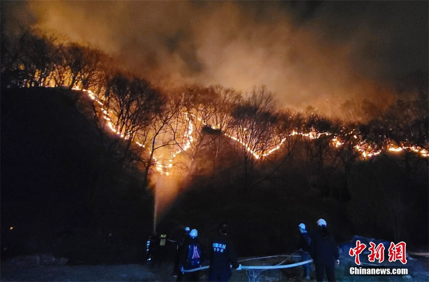 Coreia do Sul: incêndio florestal ocorreu no norte da Gangwon
