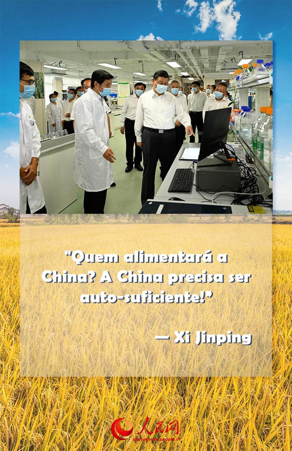 Infográfico: Xi Jinping destaca papel das 