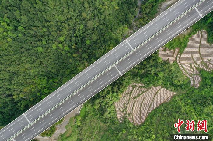 Fotografia aérea do trecho de expansão da Rodovia Nacional de Lanhai