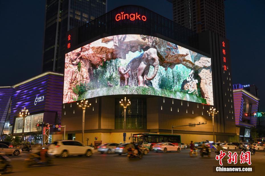Kunming exibe “elefante asiático” no ecrã de tecnologia 3D