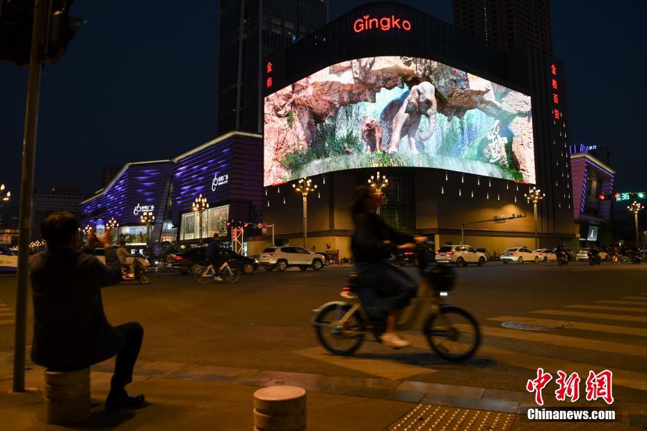 Kunming exibe “elefante asiático” no ecrã de tecnologia 3D