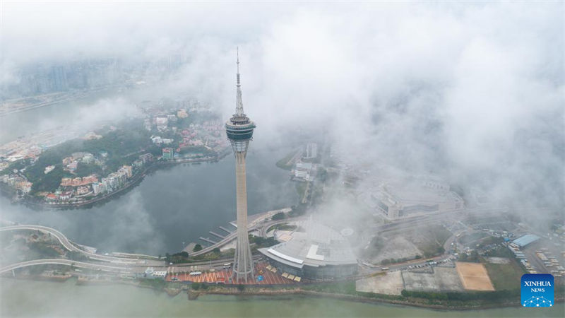 Galeria: fotos aéreas de Macau