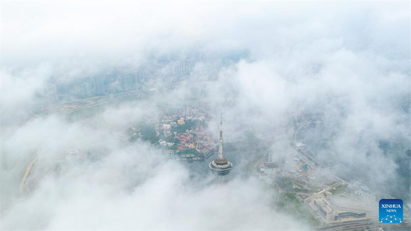 Galeria: fotos aéreas de Macau