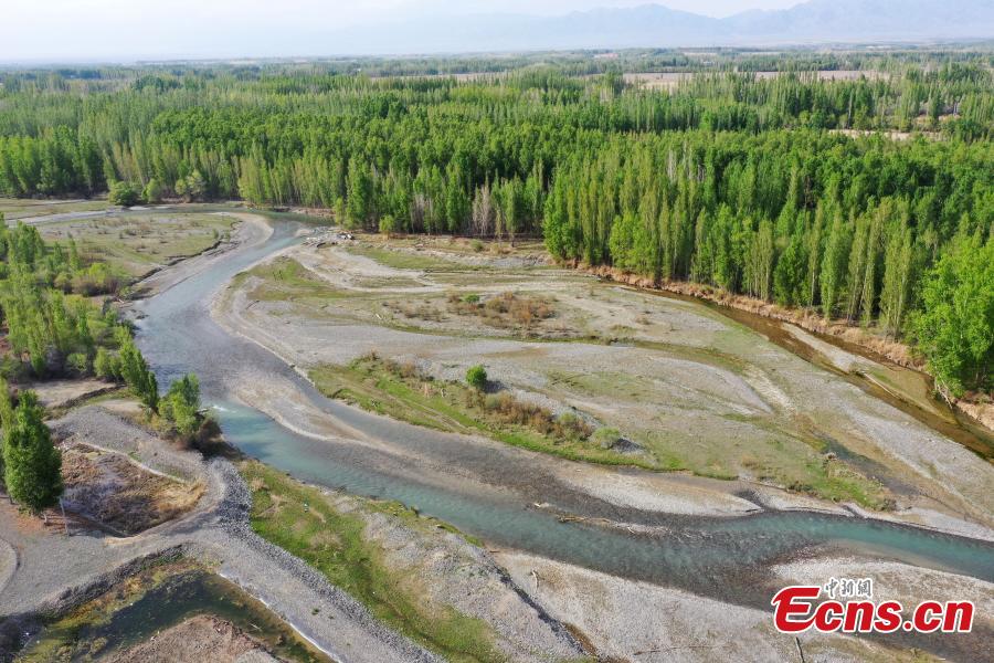 Galeria: Vale do rio Bortala em Xinjiang