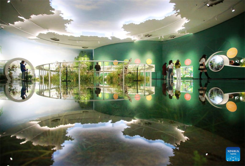 Dia Internacional dos Museus é celebrado na China