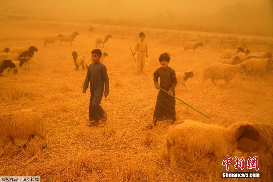 Tempestade de areia severa continua afetando o Iraque