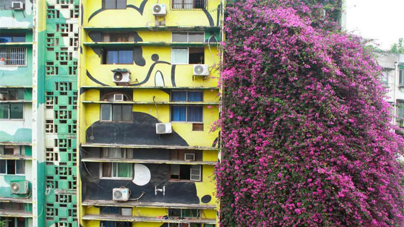 Galeria: "cachoeira de flores" de 30 metros de altura aparece ao lado de edifício residencial