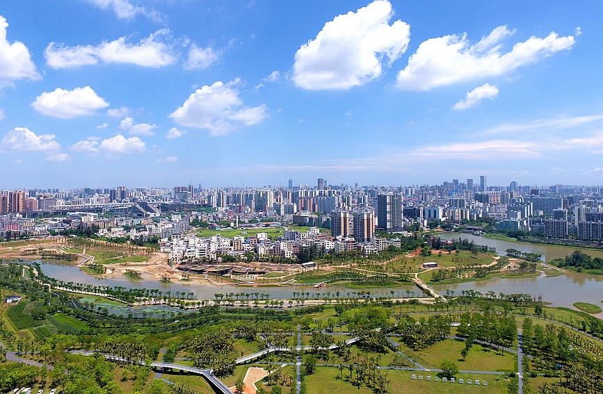 Galeria: pândanos da província de Hainan