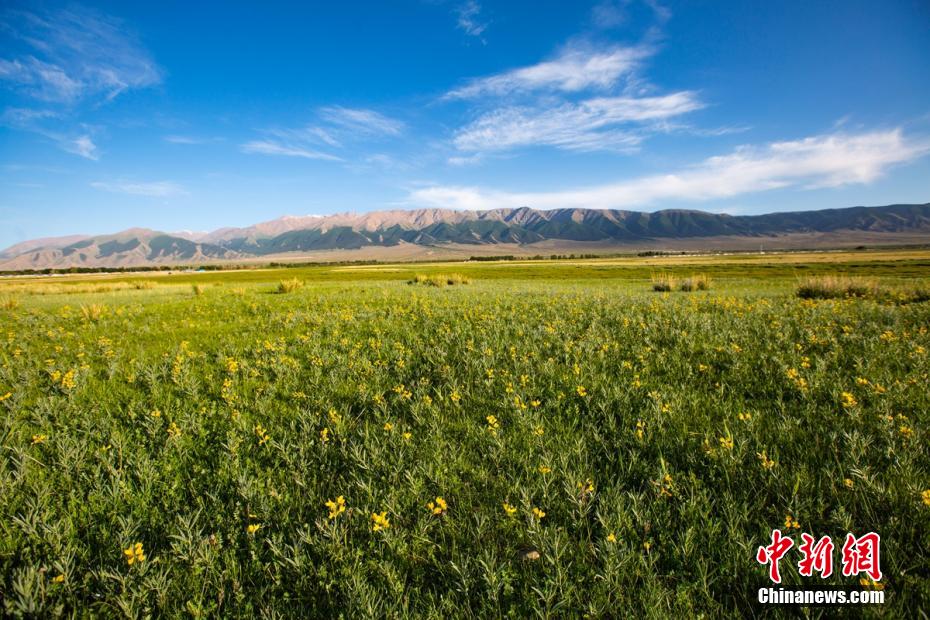 Galeria: pasto Barkol em Xinjiang