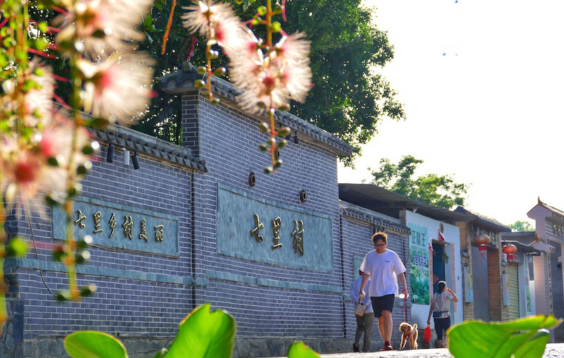 Galeria: flores de barringtonia racemosa atraem turistas em Hainan