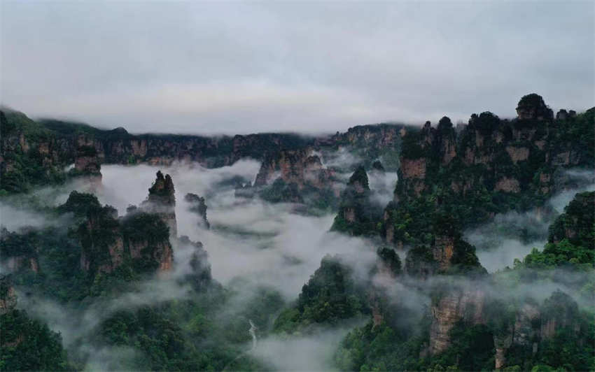 Galeria: bela paisagem de Zhangjiajie no verão