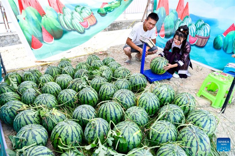 Guizhou: vendas de melancia aumentam renda dos moradores 