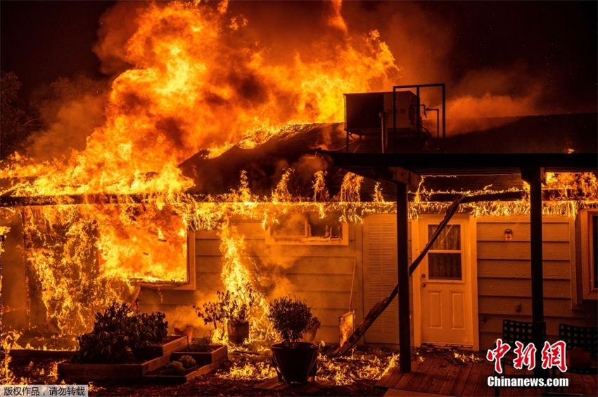 EUA: incêndio florestal na Califórnia queima 63 quilômetros quadrados em 3 dias