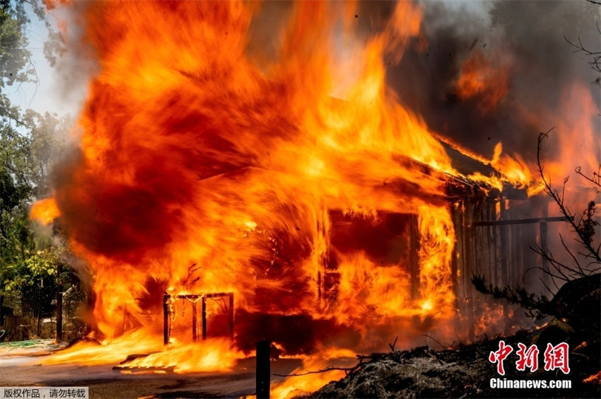 EUA: incêndio florestal na Califórnia queima 63 quilômetros quadrados em 3 dias
