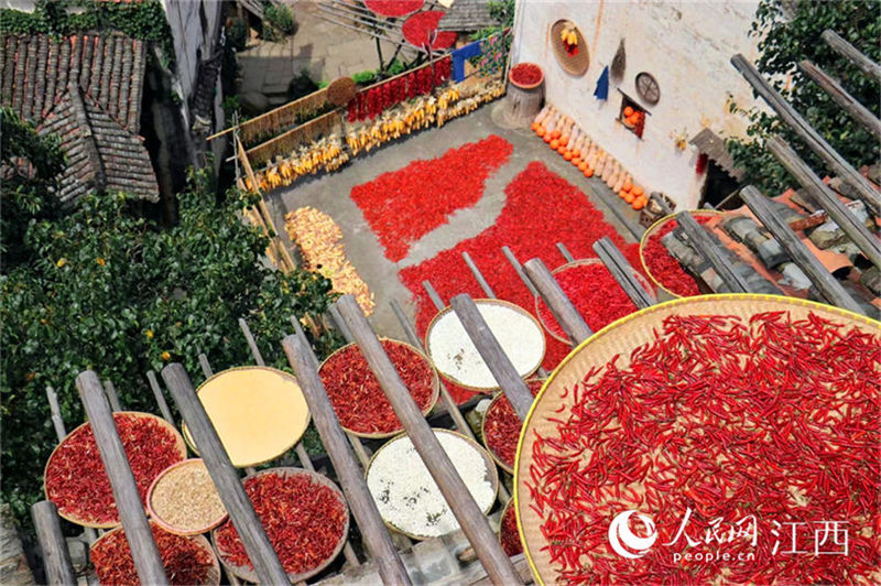 Jiangxi: moradores em Wuyuan secam cereais colhidos