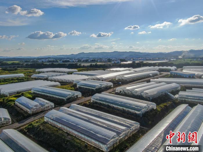 Galeria: milhares de base vegetal de estufa no leste da China