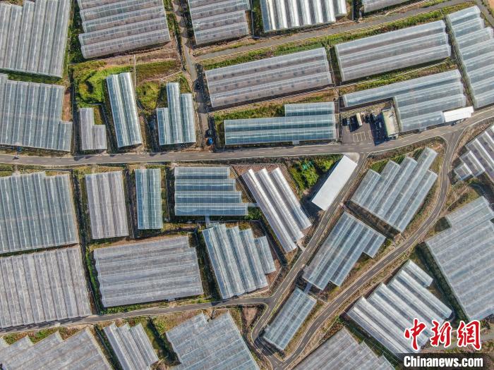Galeria: milhares de base vegetal de estufa no leste da China